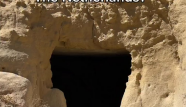 Swamp germans saving .005 €