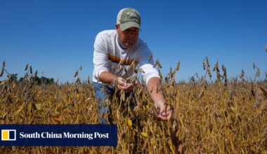 ‘Make China buy’: US soybean farmers, tired of trade war ‘blows’, push Trump to act