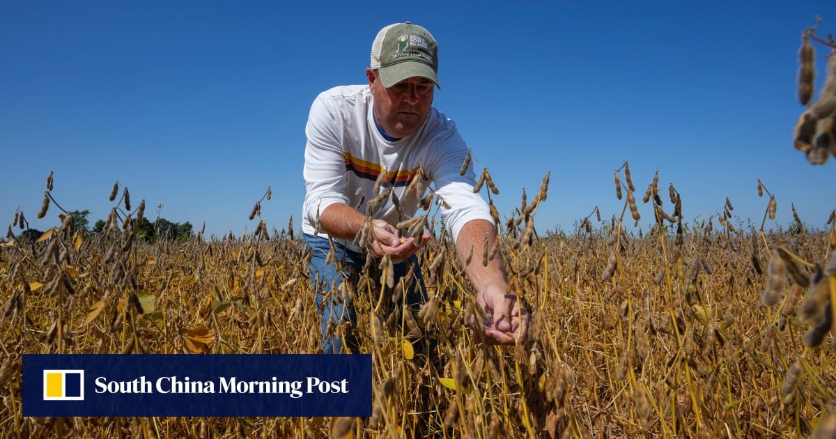 ‘Make China buy’: US soybean farmers, tired of trade war ‘blows’, push Trump to act