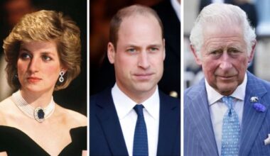 Prince William Compares Princess Diana & King Charles' Divorce to Kate Middleton