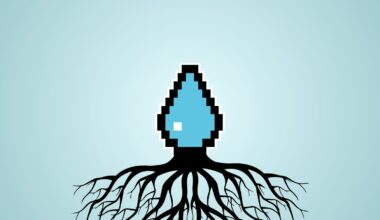 El agua mineral natural, una semilla que florece en la España rural