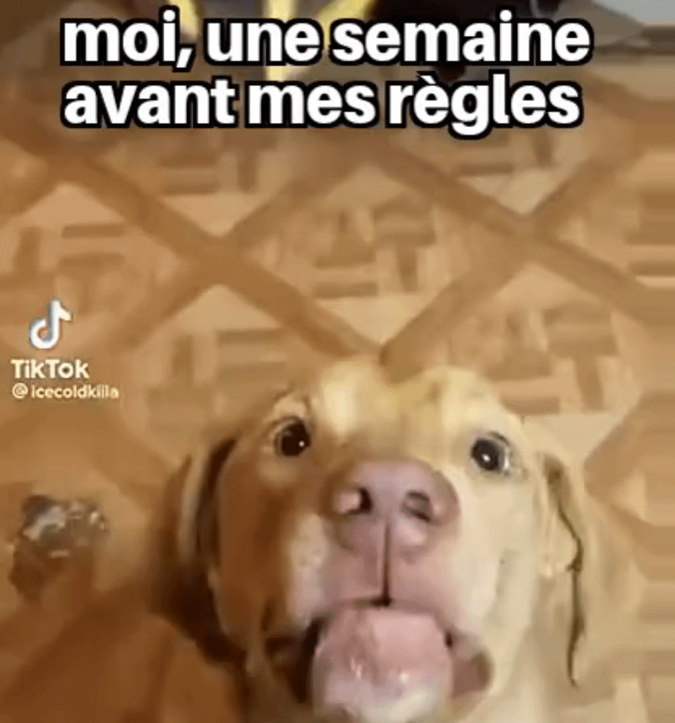 Marche aussi avec kinder Buenos ou breztels