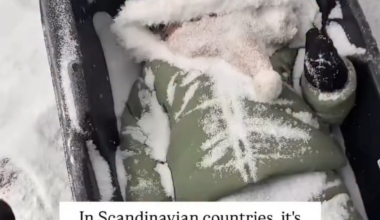 The least cool Scandinavian baby