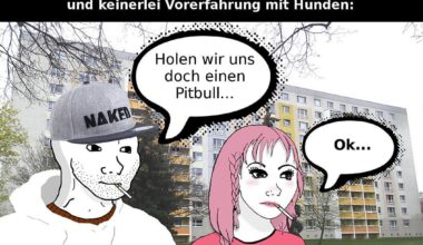 Ich_iel