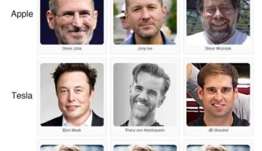 Stylish European Designer