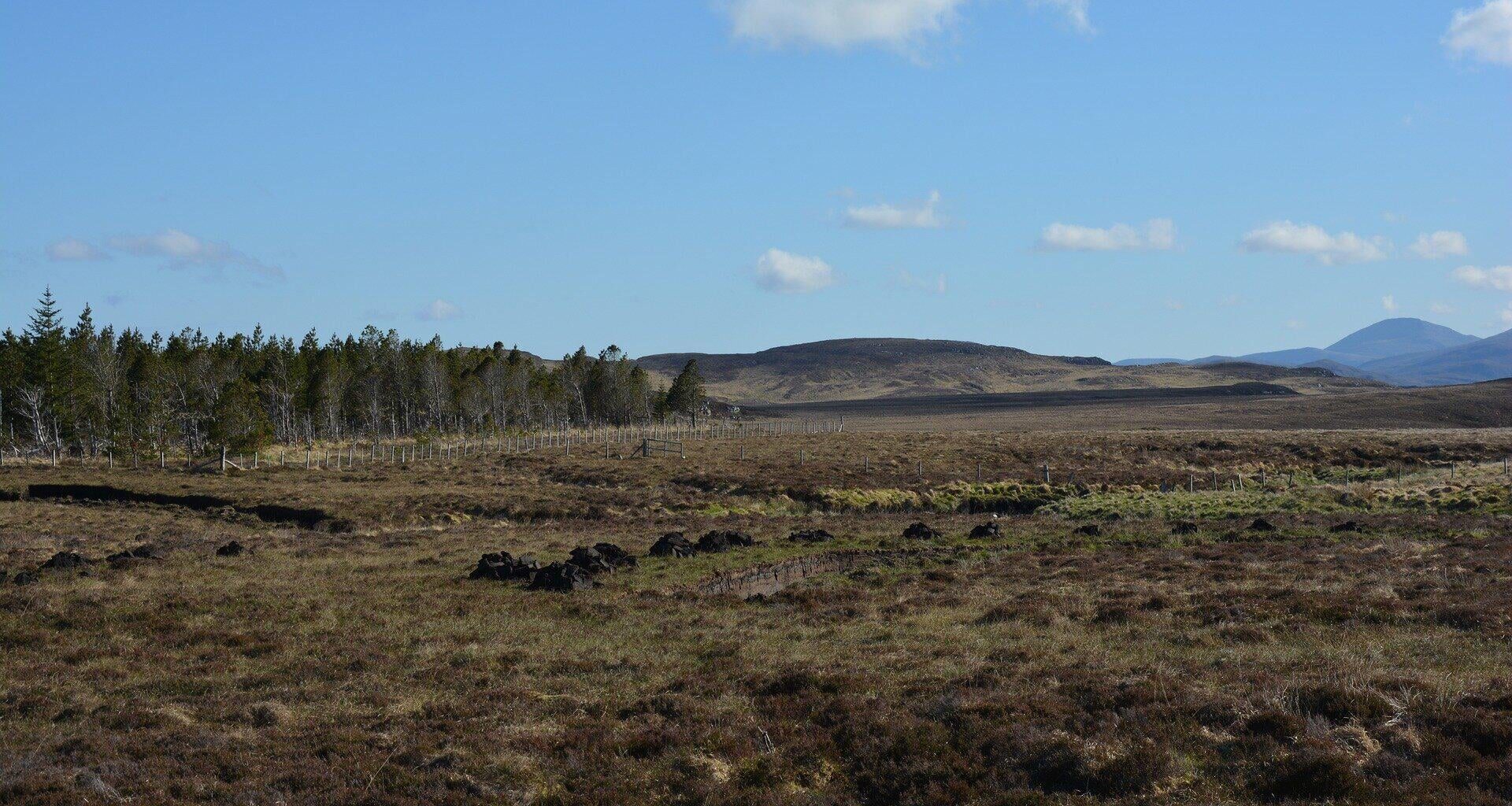 Peatlands make up just 3% of Earth's land surface but store more than 30% of the world's soil carbon. An extreme drought event could quadruple peatland carbon loss in a warming climate.