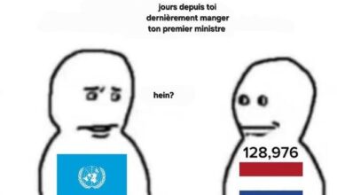 Au lieu de dissoudre l'assemblée, on a pas encore essayé ça
