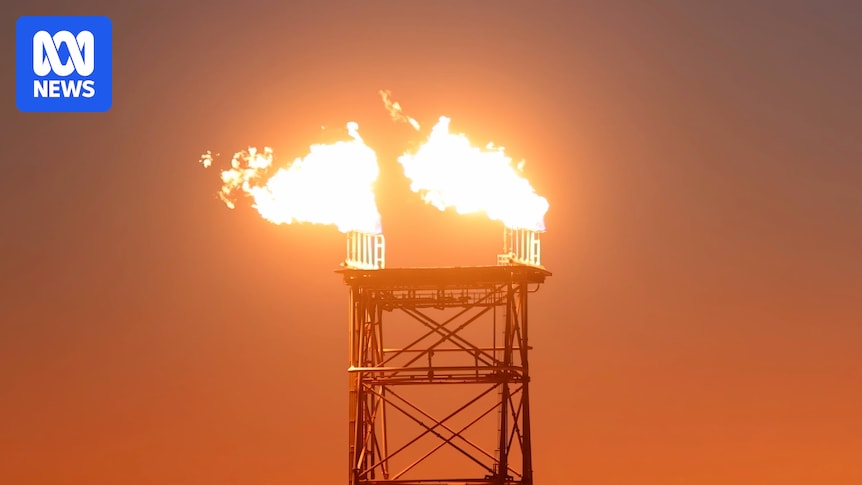 Economics rather than environmental concerns could sink Woodside's proposed Browse gas project