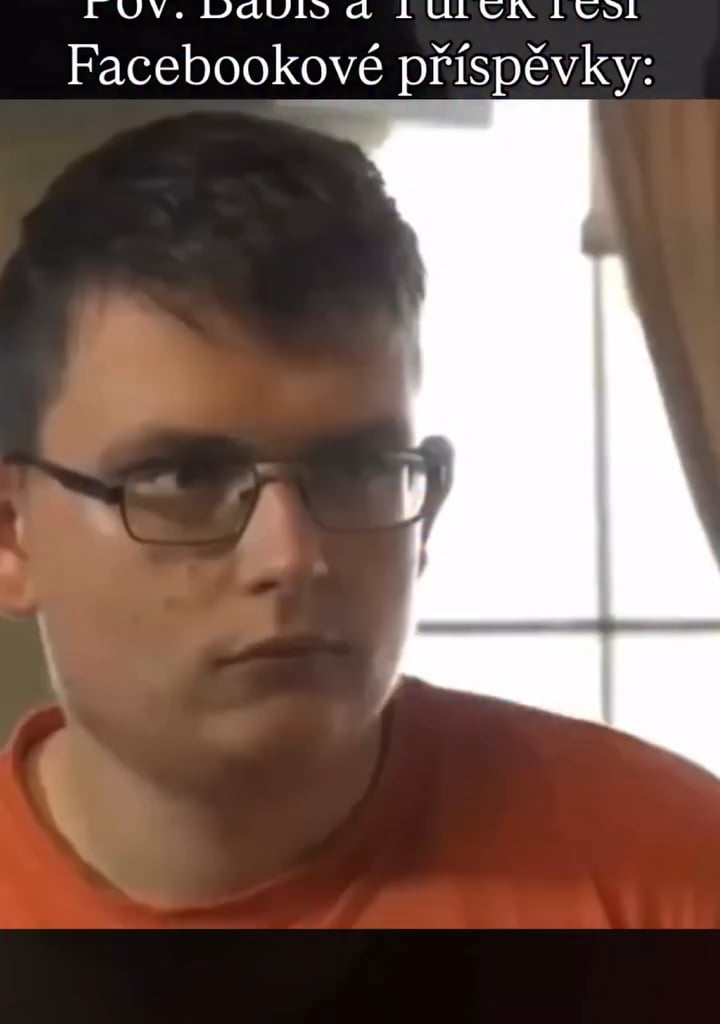 Leak dojednávání vlády