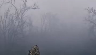 Chasiv Yar. A tank from the 24th Brigade destroys a Russian BMD and infantry in the tree line