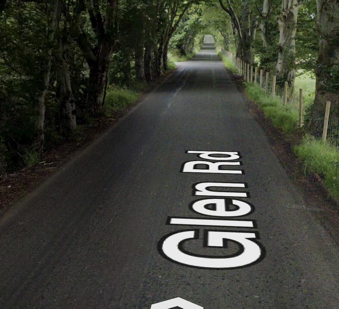The real dark hedges