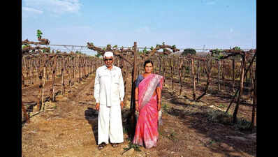 Elderly Junnar couple takes a chance with grapes, fruit now in Europe’s markets