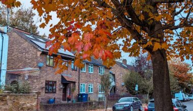 Every coner of england is good enough to be used as wallpaper in autumn 🍁