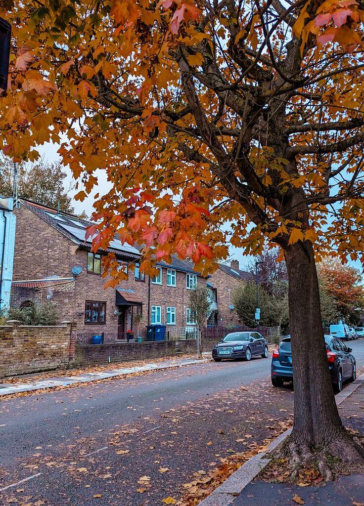 Every coner of england is good enough to be used as wallpaper in autumn 🍁