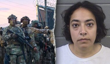 Professor charged with felony battery after ICE facility riots in Illinois