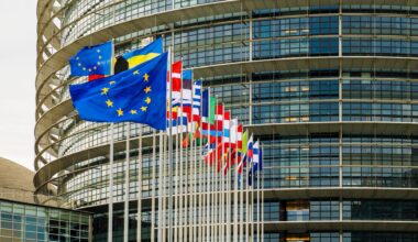 Die Europaflagge und mehrere Länderflaggen vor dem EU-Parlament in Straßburg