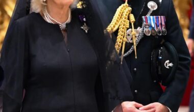 The new 'hot equerry'! Queen Camilla's right-hand man wins a legion of fans after accompanying Her Majesty to the Vatican