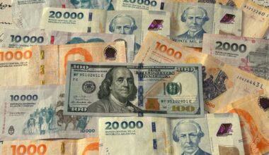 Argentina's central bank intervenes to halt run on peso
