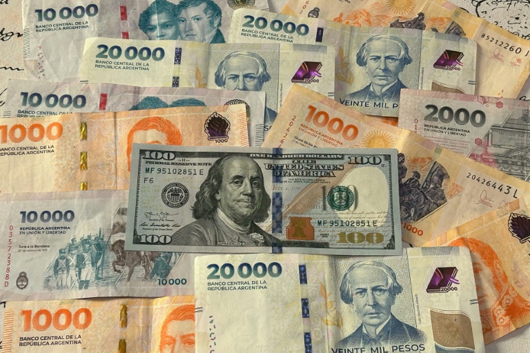 Argentina's central bank intervenes to halt run on peso