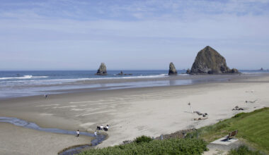 OHA wants your opinion on which Oregon beaches to monitor for health risks next year