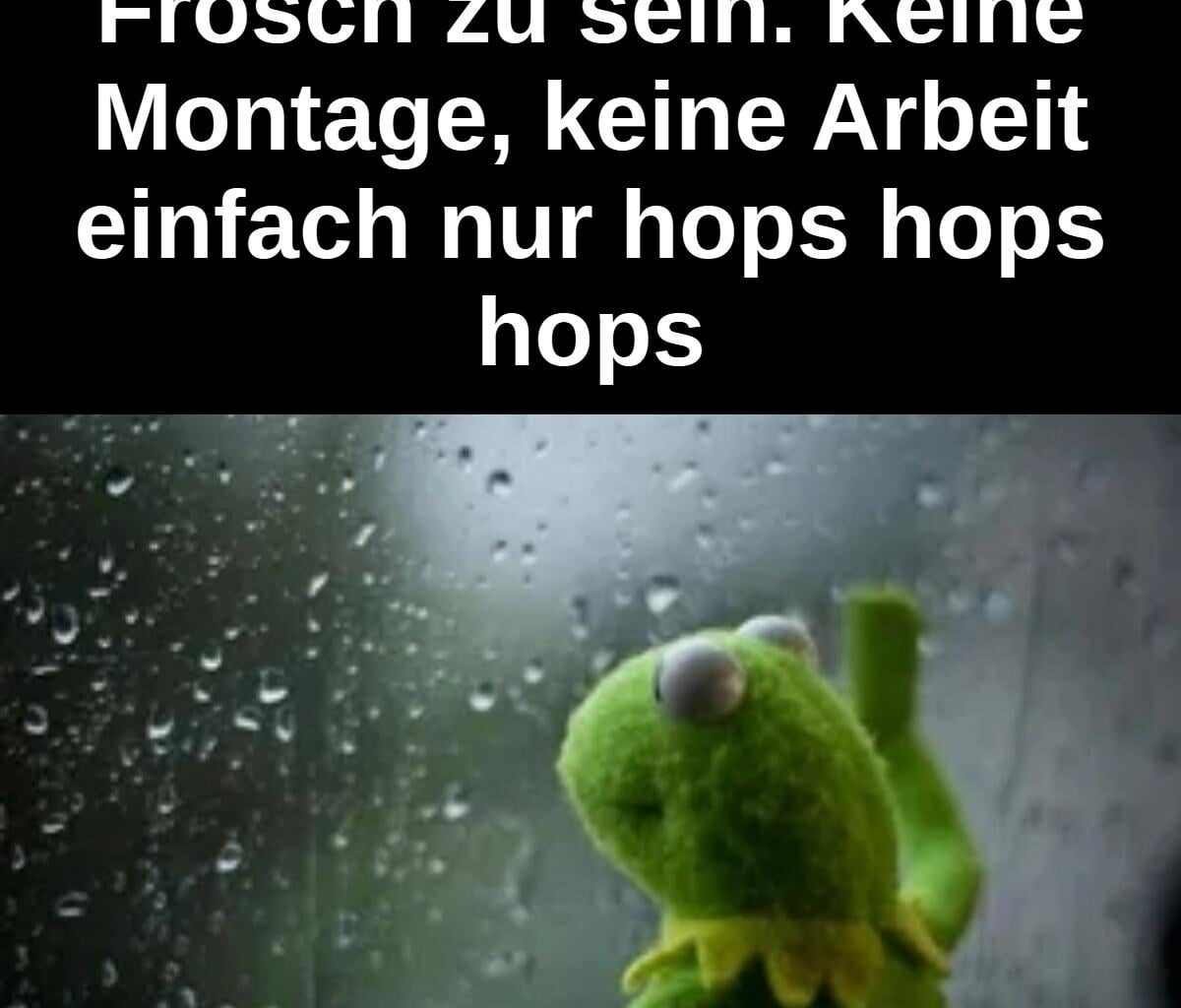 Ich🐸iel