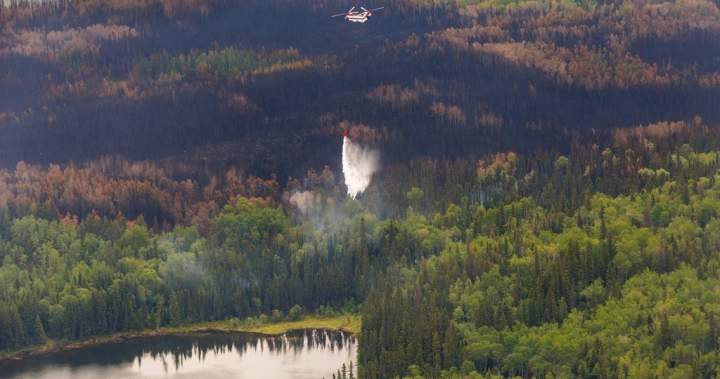 Learning lessons from Canada’s wildfire season