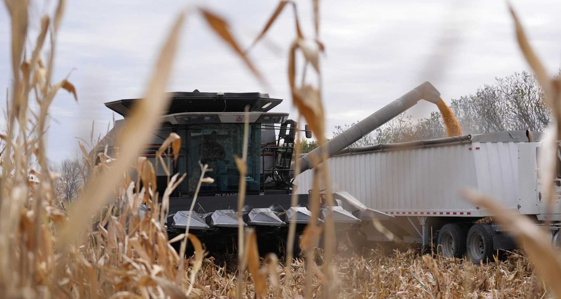 White House Plans More Multi-Billion Dollar Bailouts for Farmers Struggling Due to Trump’s Trade War