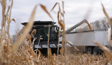 White House Plans More Multi-Billion Dollar Bailouts for Farmers Struggling Due to Trump’s Trade War
