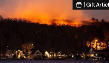 Carbon Dioxide Levels Jumped by a Record Amount, U.N. Says | Surging emissions from wildfires may have been behind the increase, which was the largest since modern measurements began more than half a century ago.