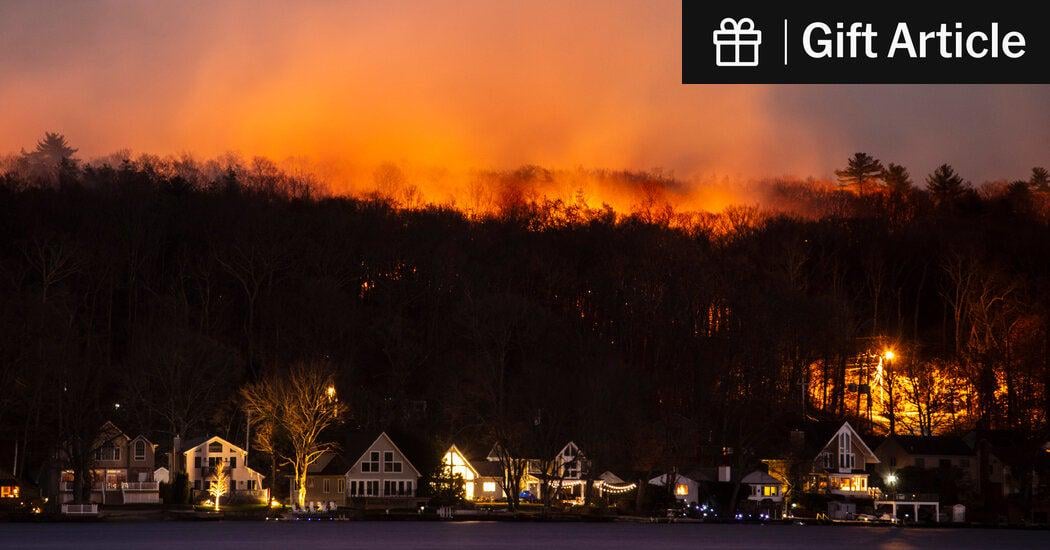 Carbon Dioxide Levels Jumped by a Record Amount, U.N. Says | Surging emissions from wildfires may have been behind the increase, which was the largest since modern measurements began more than half a century ago.