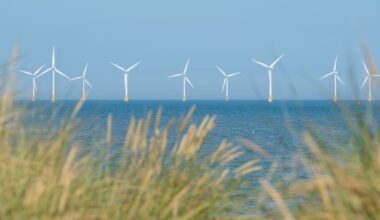Wind power has saved UK consumers over £100 billion since 2010 – new study