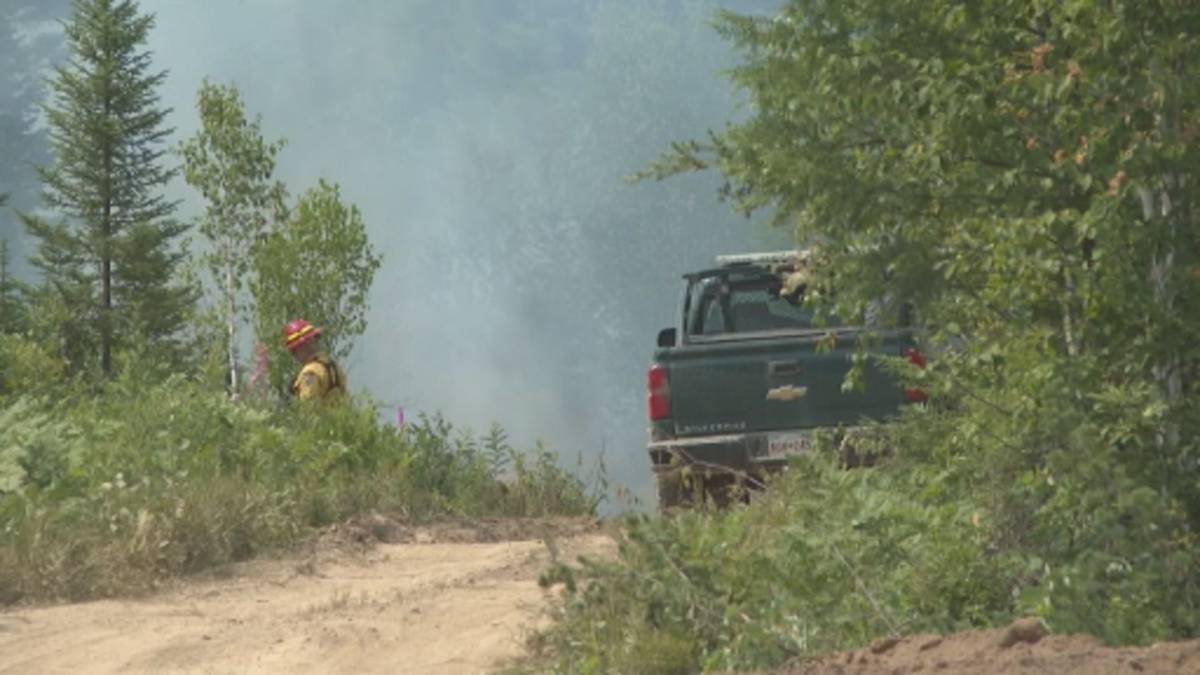 Click to play video: 'New Brunswick considers extending wildfire season'
