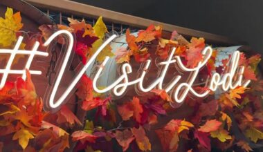 Lodi's social media strategy pays off, turning local businesses into viral success stories