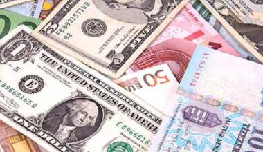 Forex-reserves buildup gets cautious IMF plaudits