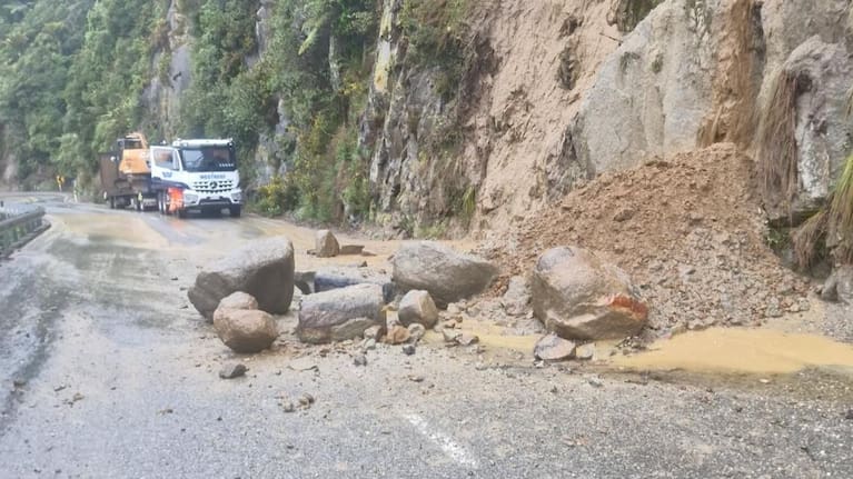 Fresh slips pictured at Meybille Bay on State Highway 6.