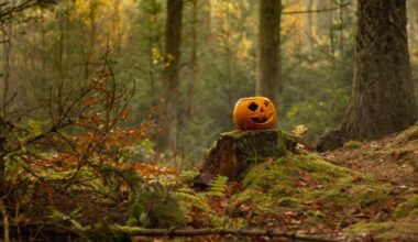 Кметът на Елин Пелин забрани Хелоуин