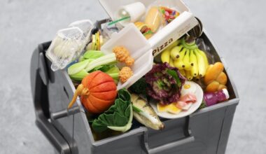 Food Waste in Mexico Drives Social, Environmental Challenges