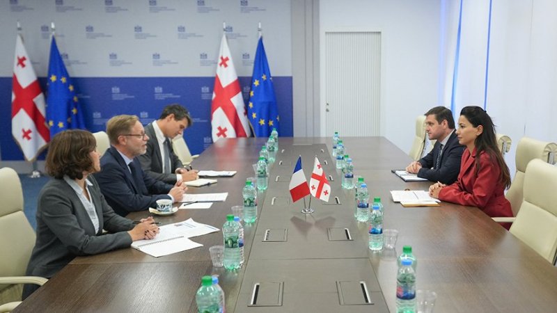 Georgia and France vow to boost economic partnership