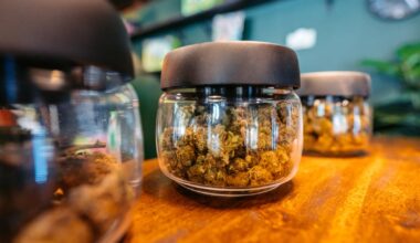 Michigan marijuana businesses brace for impact of new 24% wholesale tax