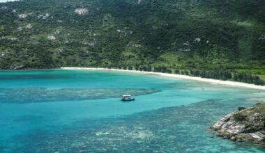 Cruise passenger found dead after accidentally being left behind on island in Australia: "Mum died, alone"