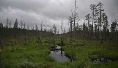 Finland turns to nature as new line of defence against Russia – Eye on the Arctic