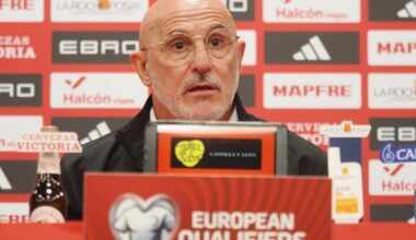 Spain boss Luis de la Fuente speaks out after Barcelona stars Dani Olmo and Ferran Torres drop out of squad