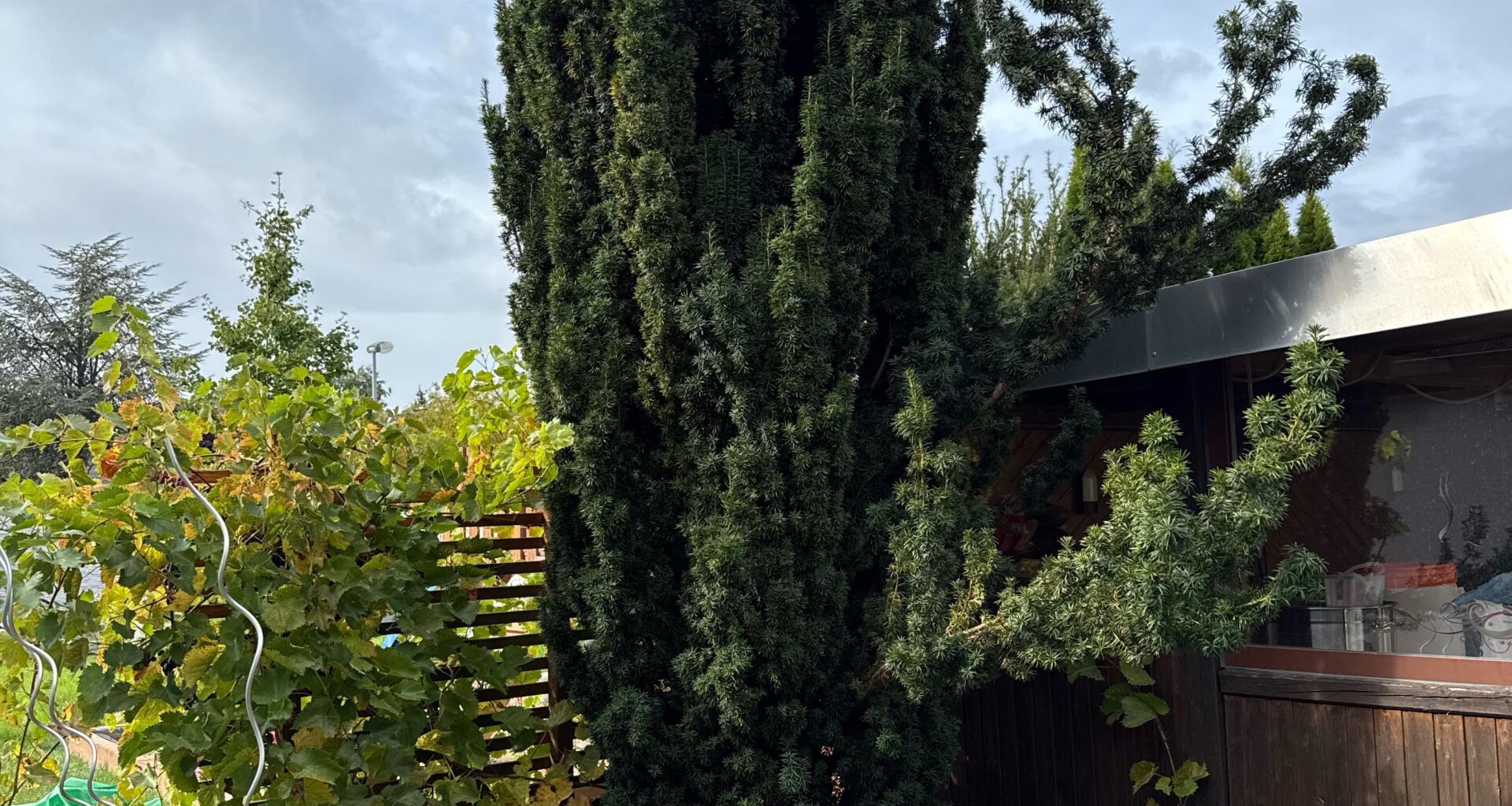 Wie verschneiden und verkleinern