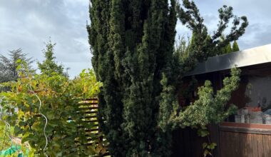 Wie verschneiden und verkleinern