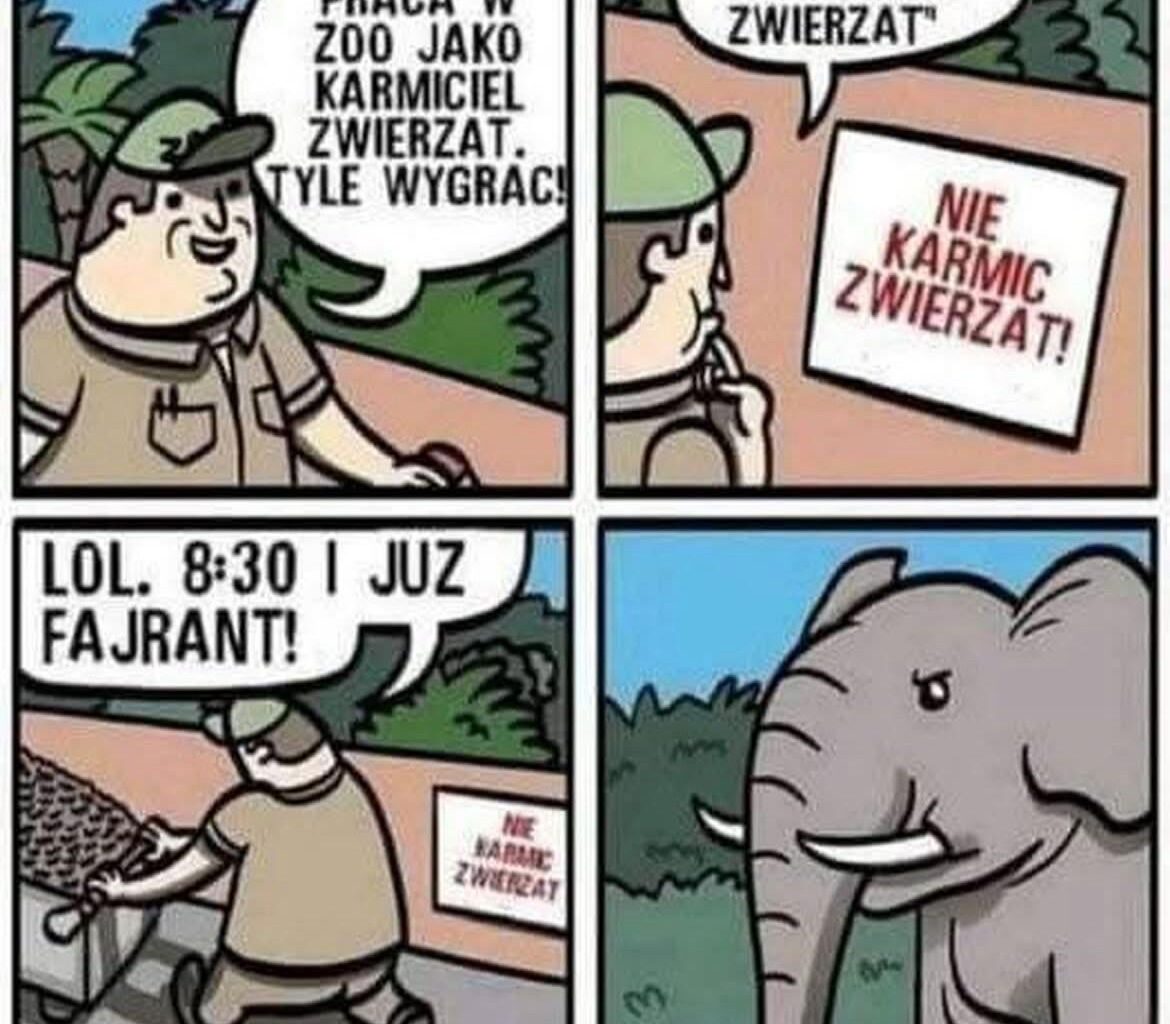 Praca w zoo