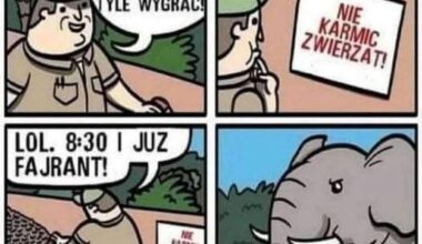 Praca w zoo