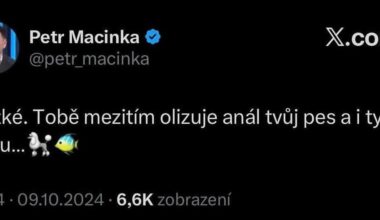 Petře, ty vole jeden