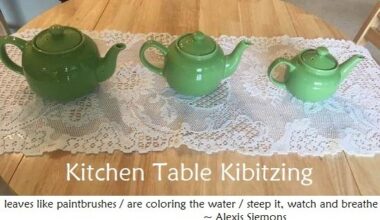 Gates says poverty and disease bigger problems than global warming