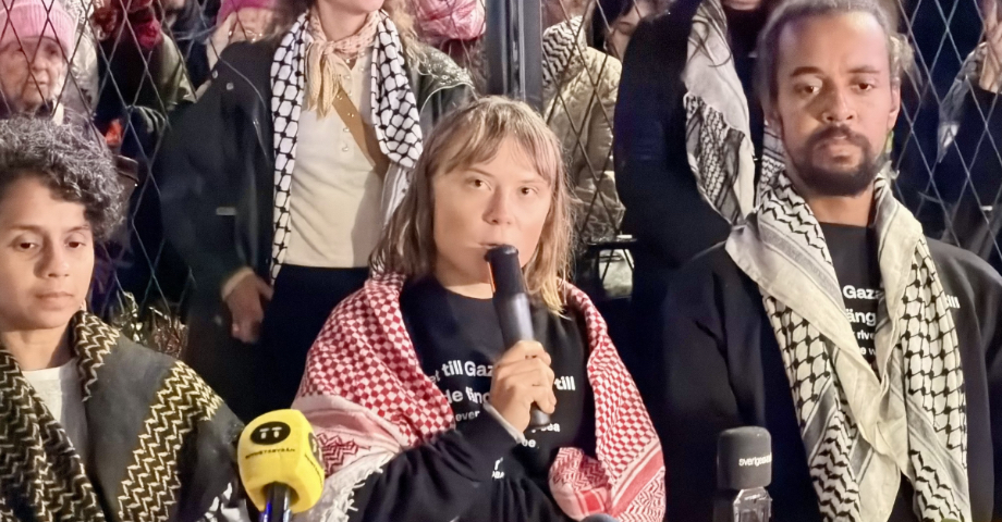 Greta Thunberg gjorde det Sverige inte vågade