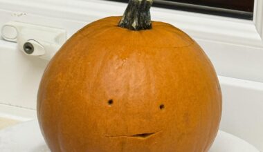 What pumpkin design are you going with this year?